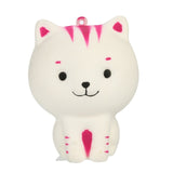 Colours Tiger Scented Squishies
